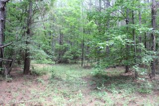 Hwy 550, Brookhaven, MS 39601