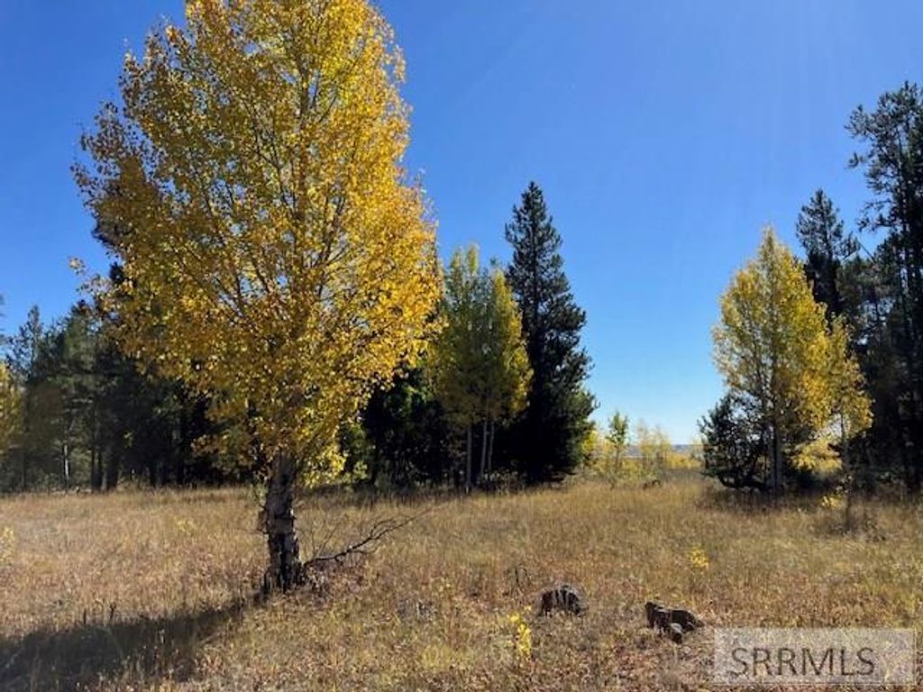 Image 2 of property listing at 2840 Morning Dew Drive, Island Park, ID 83429