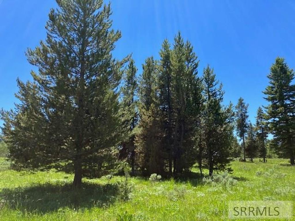 Image 5 of property listing at 2840 Morning Dew Drive, Island Park, ID 83429