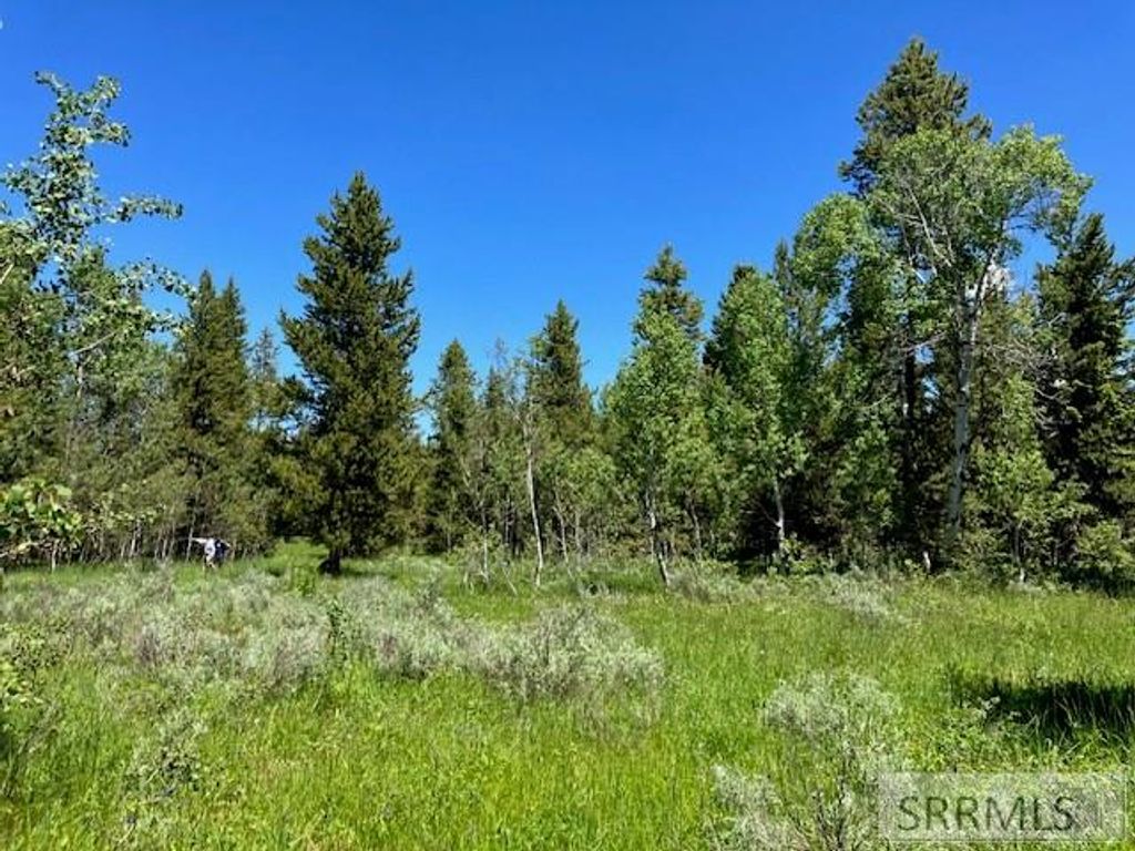 Image 7 of property listing at 2840 Morning Dew Drive, Island Park, ID 83429