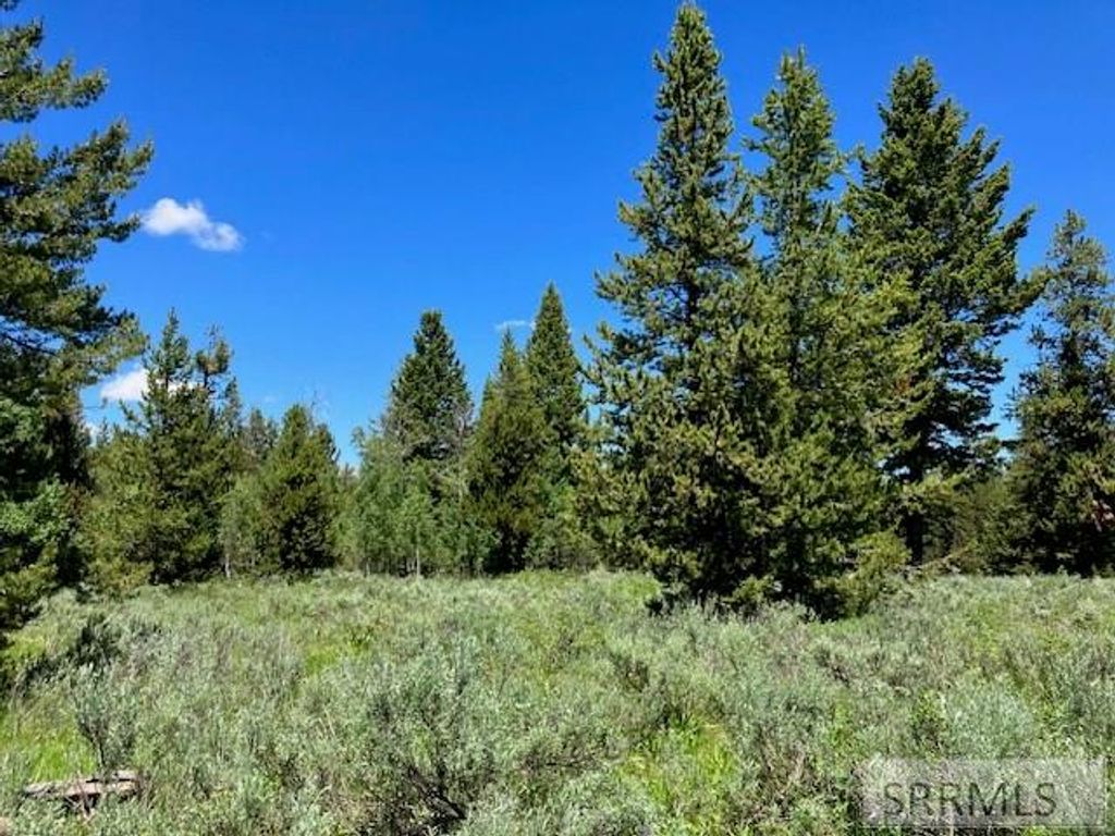 Image 9 of property listing at 2840 Morning Dew Drive, Island Park, ID 83429