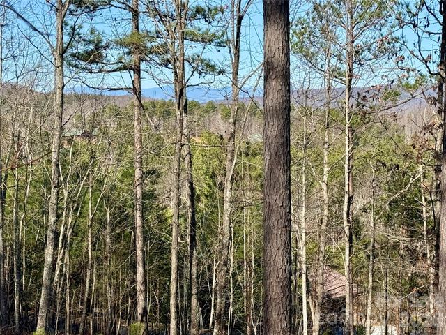 338 Grandview Peaks Drive 36, Nebo, NC 28761