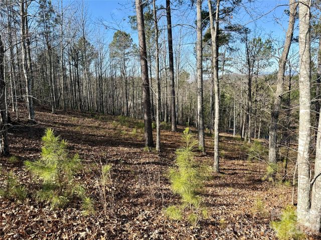 338 Grandview Peaks Drive 36, Nebo, NC 28761