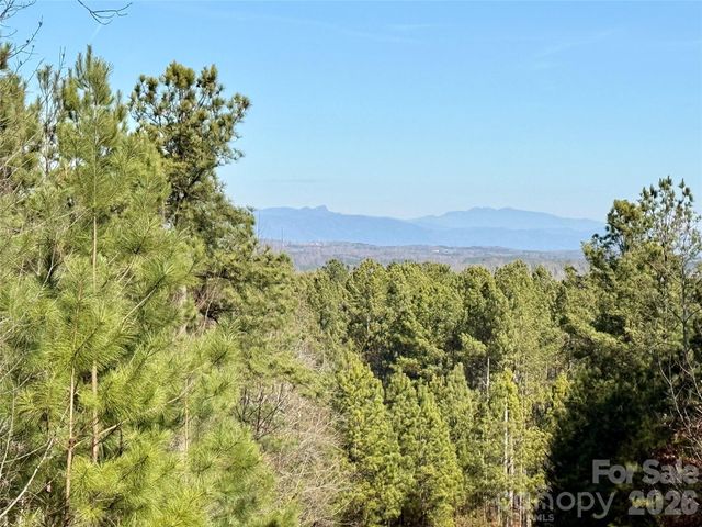 338 Grandview Peaks Drive 36, Nebo, NC 28761