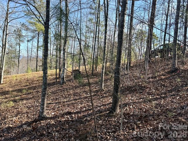 338 Grandview Peaks Drive 36, Nebo, NC 28761