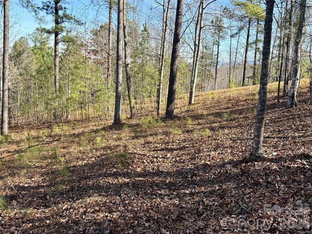 338 Grandview Peaks Drive 36, Nebo, NC 28761