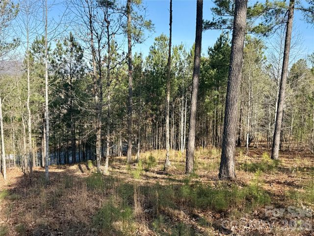 338 Grandview Peaks Drive 36, Nebo, NC 28761