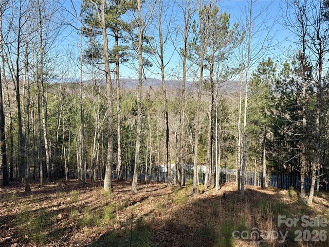 338 Grandview Peaks Drive 36, Nebo, NC 28761