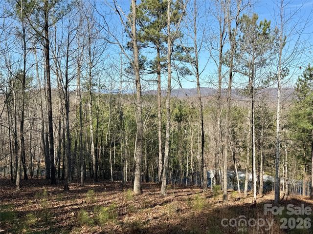 338 Grandview Peaks Drive 36, Nebo, NC 28761