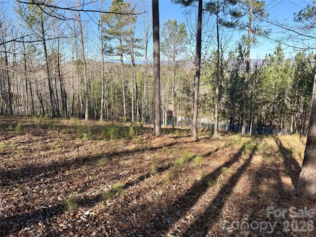 338 Grandview Peaks Drive 36, Nebo, NC 28761