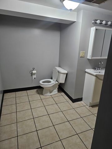 9117 S WALLACE Street, Chicago, IL 60620