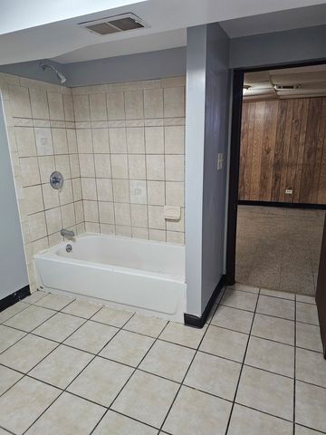 9117 S WALLACE Street, Chicago, IL 60620