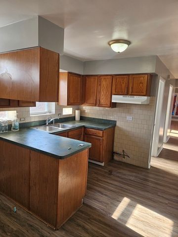 9117 S WALLACE Street, Chicago, IL 60620