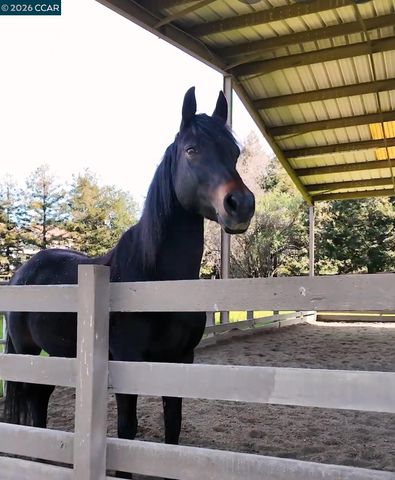 3124 Shire Lane, Walnut Creek, CA 94598