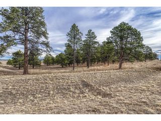 16511 Early Light Dr, Colorado Springs, CO 80908