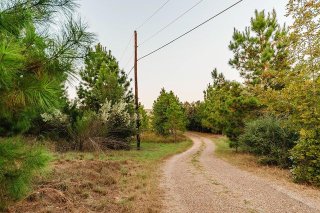 139 Village Forest DR, Smithville, TX 78957