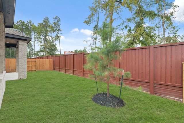 13060 Wandering Ridge Lane, Conroe, TX 77302