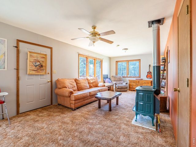 263 Badger Ct, Drake, CO 80515