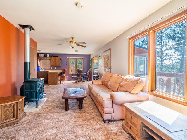 263 Badger Ct, Drake, CO 80515