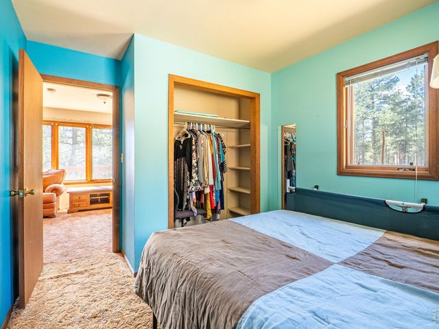 263 Badger Ct, Drake, CO 80515