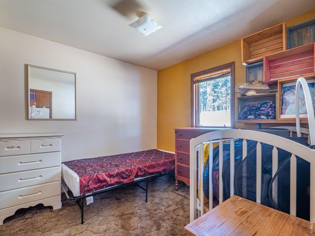263 Badger Ct, Drake, CO 80515