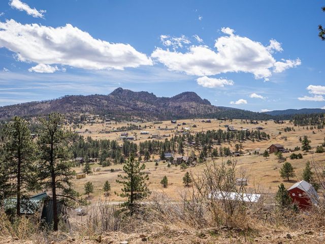 263 Badger Ct, Drake, CO 80515