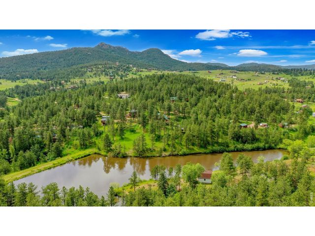 263 Badger Ct, Drake, CO 80515