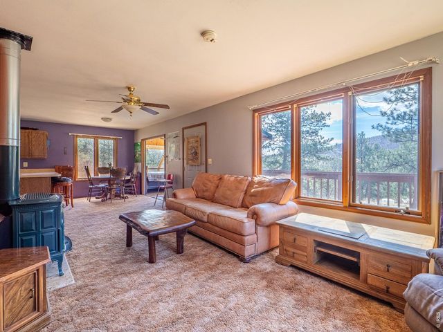 263 Badger Ct, Drake, CO 80515