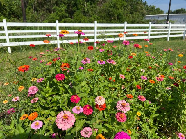 3234 Bobbie Street D, Houston, TX 77086