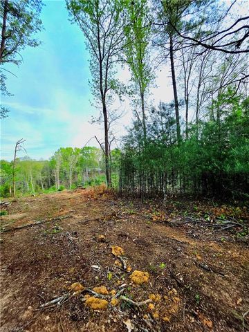 TBD Ruritan Park Road, North Wilkesboro, NC 28659