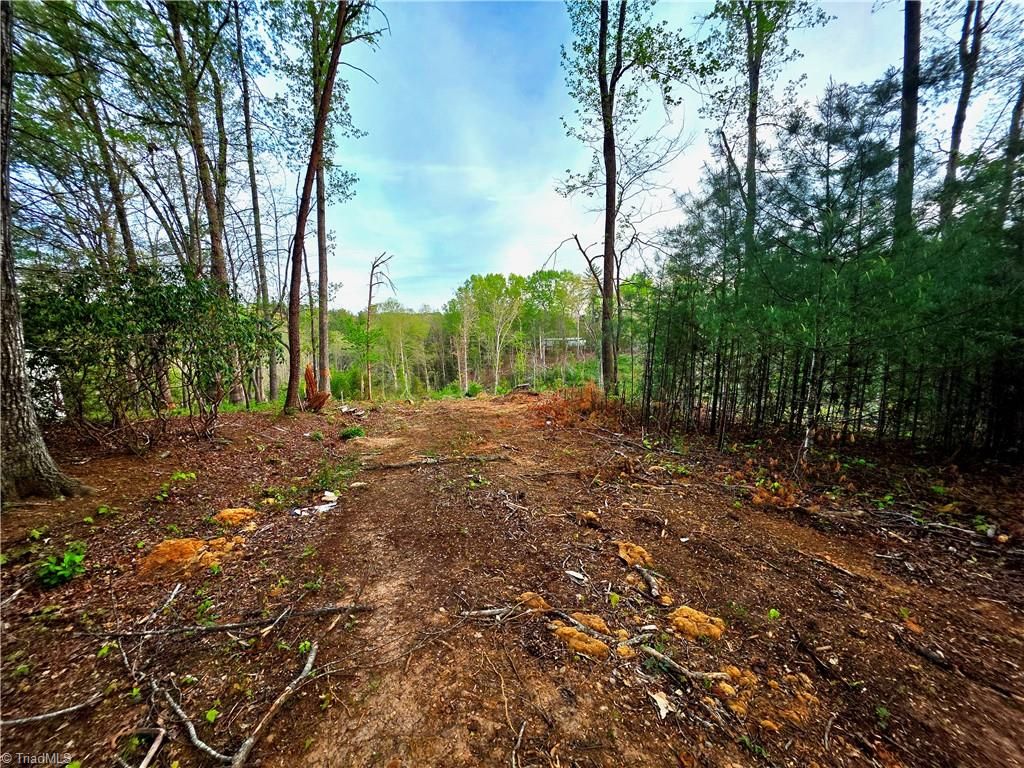 TBD Ruritan Park Road, North Wilkesboro, NC 28659