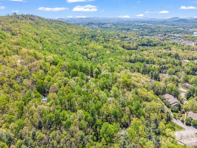 99999 Mountain Site Lane, Asheville, NC 28803