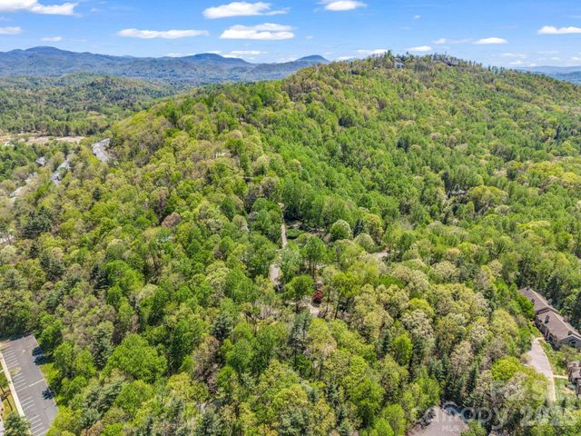 99999 Mountain Site Lane, Asheville, NC 28803