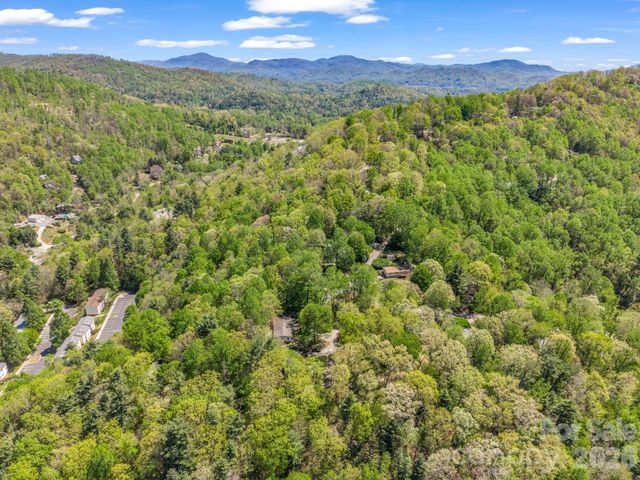 99999 Mountain Site Lane, Asheville, NC 28803