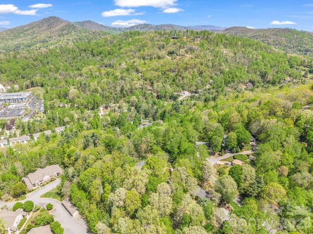 99999 Mountain Site Lane, Asheville, NC 28803