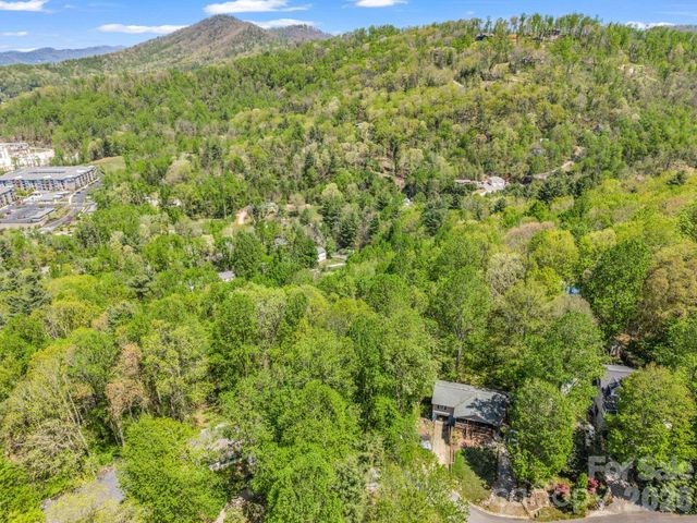 99999 Mountain Site Lane, Asheville, NC 28803