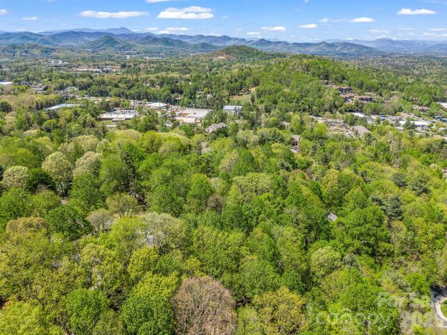 99999 Mountain Site Lane, Asheville, NC 28803