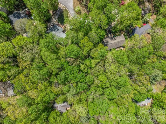 99999 Mountain Site Lane, Asheville, NC 28803