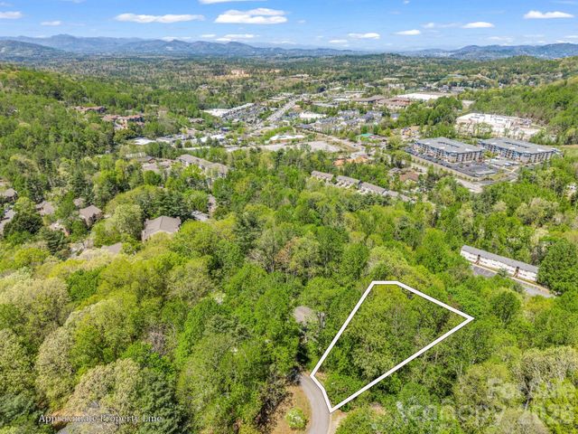 99999 Mountain Site Lane, Asheville, NC 28803
