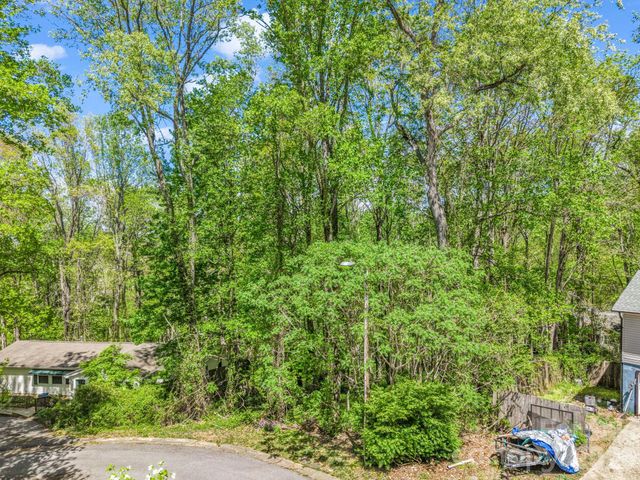 99999 Mountain Site Lane, Asheville, NC 28803