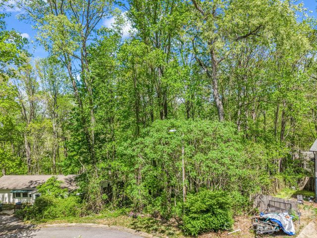 99999 Mountain Site Lane, Asheville, NC 28803