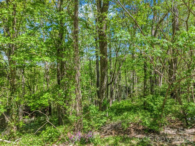 99999 Mountain Site Lane, Asheville, NC 28803