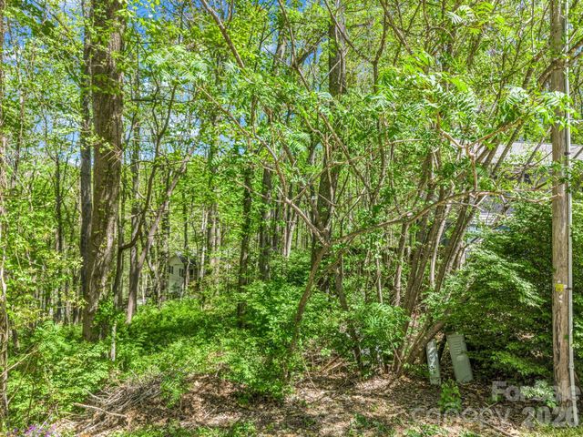 99999 Mountain Site Lane, Asheville, NC 28803
