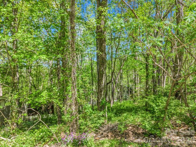 99999 Mountain Site Lane, Asheville, NC 28803