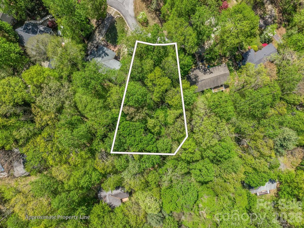 99999 Mountain Site Lane, Asheville, NC 28803