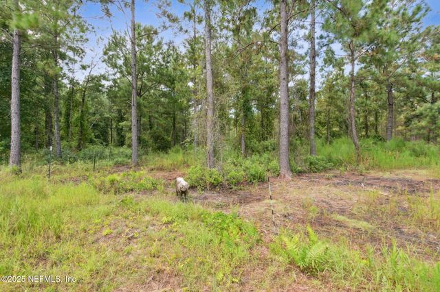 47333 TURKEY TOWN Lane, Hilliard, FL 32046