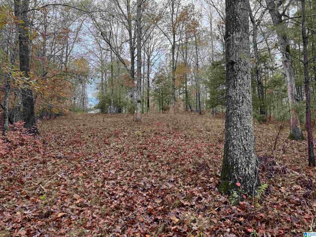 888 WARREN ROAD, Wedowee, AL 36278