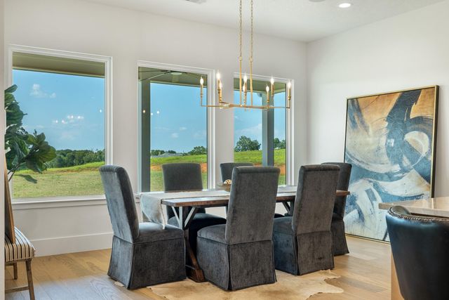 10343 Sunny Meadow Drive, Chappell Hill, TX 77426