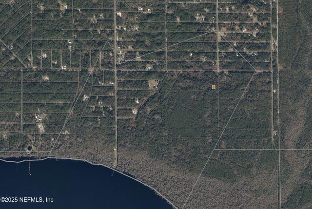 234 LAISY Drive, Georgetown, FL 32139