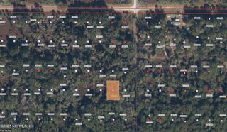 234 LAISY Drive, Georgetown, FL 32139